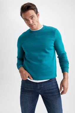 DEFACTO Regular Fit Crew Neck Basic Cotton Sweatshirt