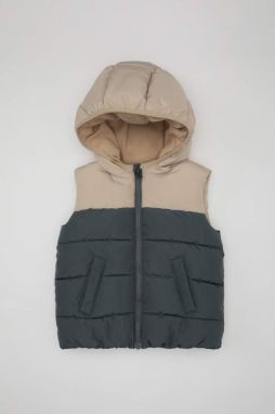 DEFACTO Baby Boy Waterproof Fleece Lined Hooded Puffer Vest