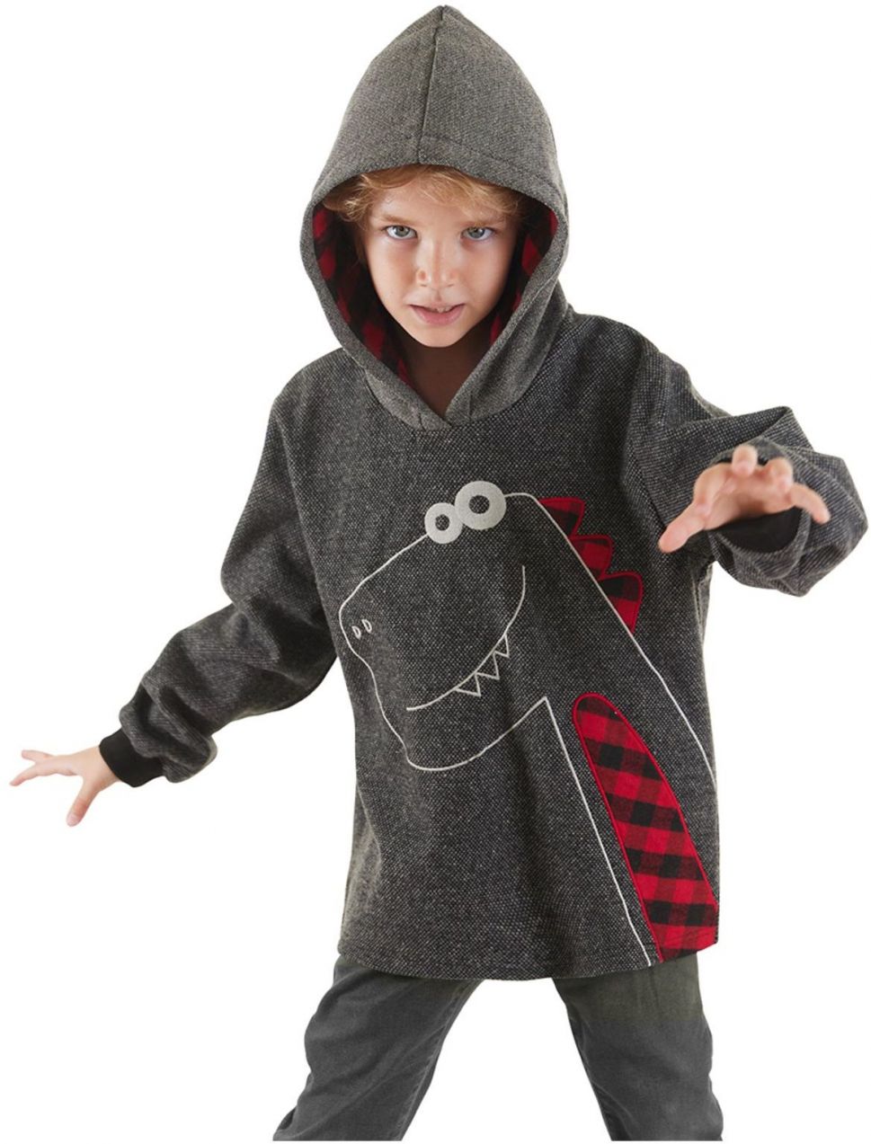 Denokids Dino Boy Hooded Sweatshirt