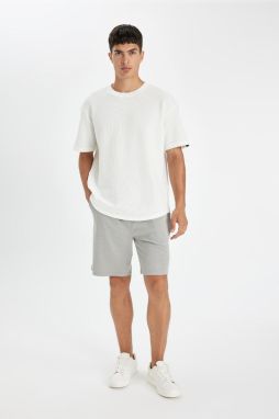 DEFACTO Regular Fit Shorts