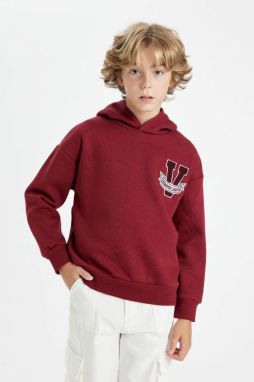 DEFACTO Boy Oversize Fit Hooded Thick Sweatshirt