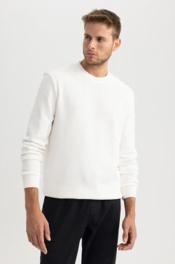 DEFACTO Regular Fit Basic Sweatshirt
