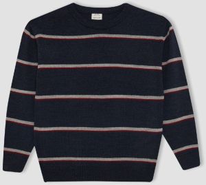 DEFACTO Boy's Crew Neck Striped Sweater