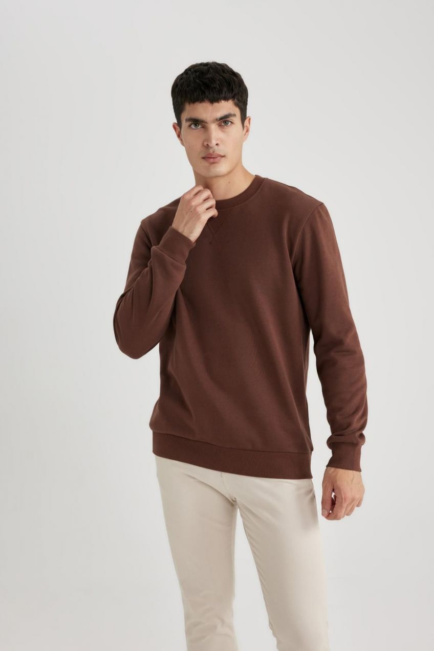 DEFACTO Regular Fit Crew Neck Basic Cotton Sweatshirt