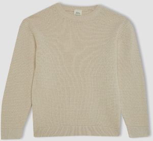 DEFACTO Boy's Crew Neck Sweater
