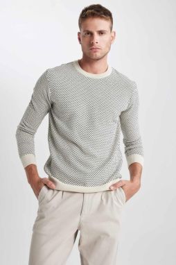 DEFACTO Standard Fit Crew Neck Sweater