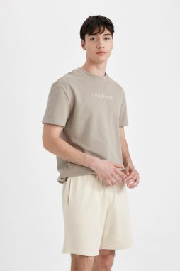 DEFACTO Regular Fit Straight Leg Shorts