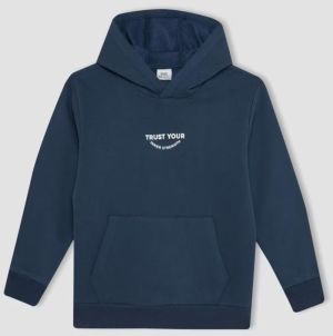 DEFACTO Boy Printed Hooded Thick School Sweatshirt
