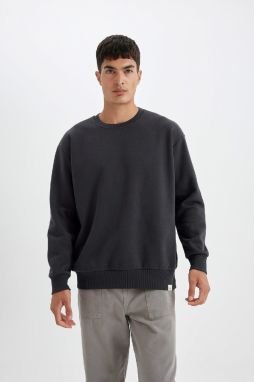 DEFACTO Oversize Fit Crew Neck Thick Sweatshirt