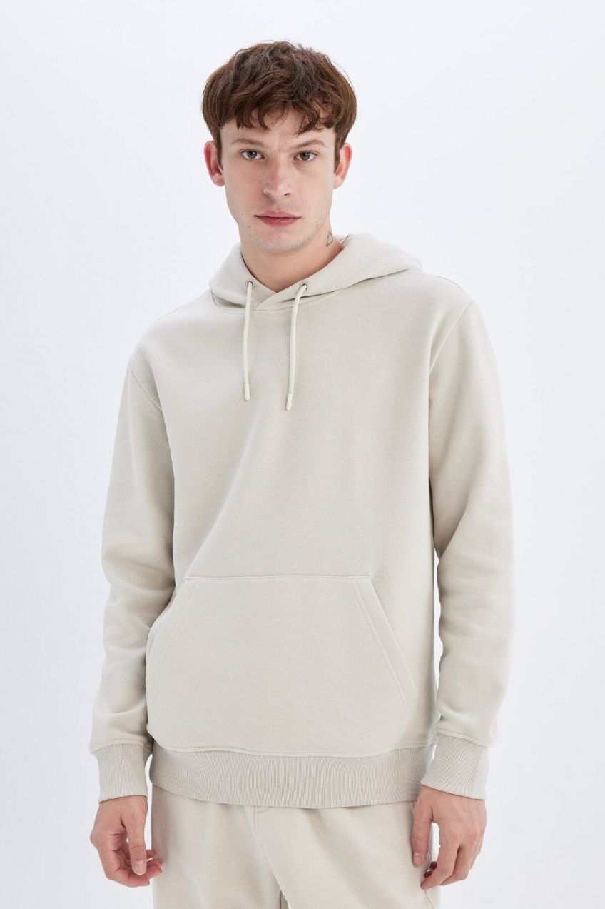 DEFACTO Regular Fit Hooded Sweatshirt
