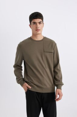 DEFACTO Regular Fit Crew Neck Sweatshirt