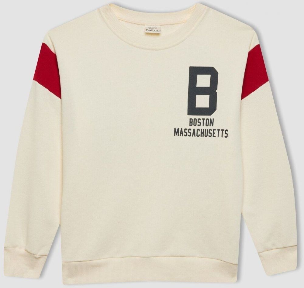 DEFACTO Boy's Crew Neck Printed Thick Sweatshirt