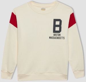 DEFACTO Boy's Crew Neck Printed Thick Sweatshirt