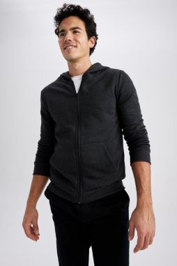DEFACTO Regular Fit Hooded Sweatshirt