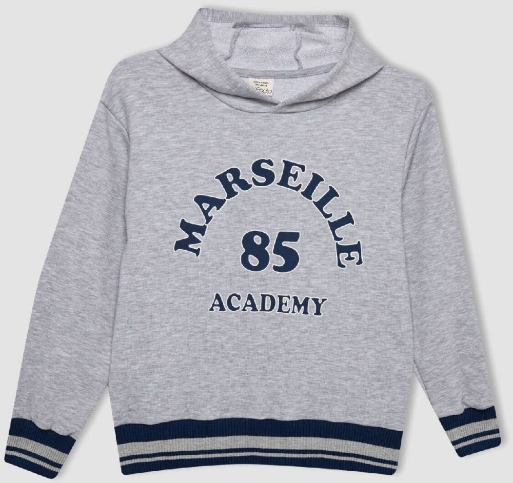 DEFACTO Boy Printed Hooded Thick Sweatshirt