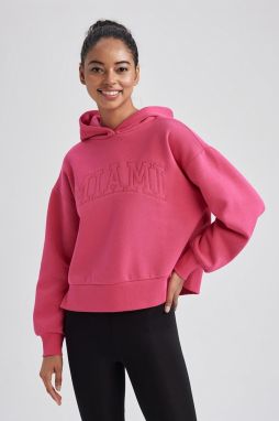 DEFACTO Fit Hooded Thick Sweatshirt
