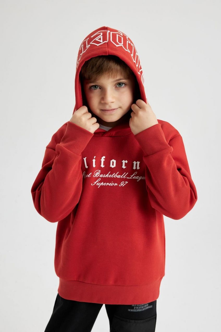 DEFACTO Boy's Hooded Printed Thick Sweatshirt