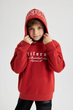 DEFACTO Boy's Hooded Printed Thick Sweatshirt