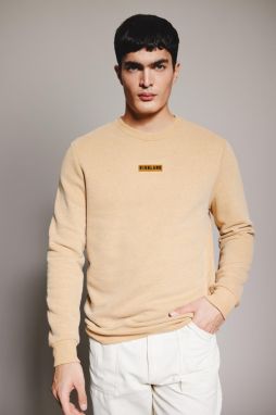 DEFACTO Regular Fit Crew Neck Sweatshirt