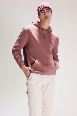 DEFACTO Regular Fit Basic Hooded Sweatshirt with Soft Fuzz Inside