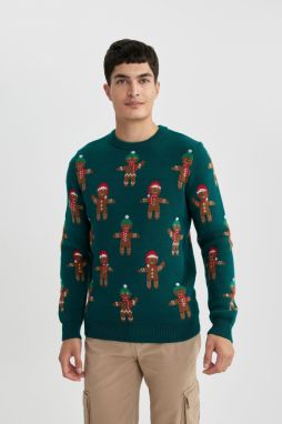 DEFACTO Christmas Themed Standard Fit Crew Neck Knitwear Sweater