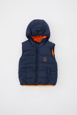 DEFACTO Baby Boy Hooded Puffer Vest