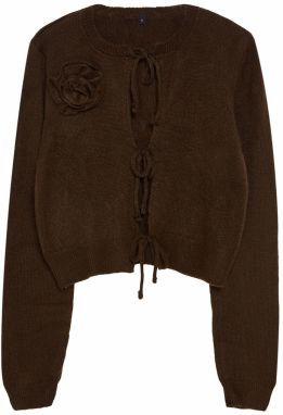 Trendyol Limited Edition Light Khaki Soft Textured Rose and Bow Detailed Knitwear Cardigan