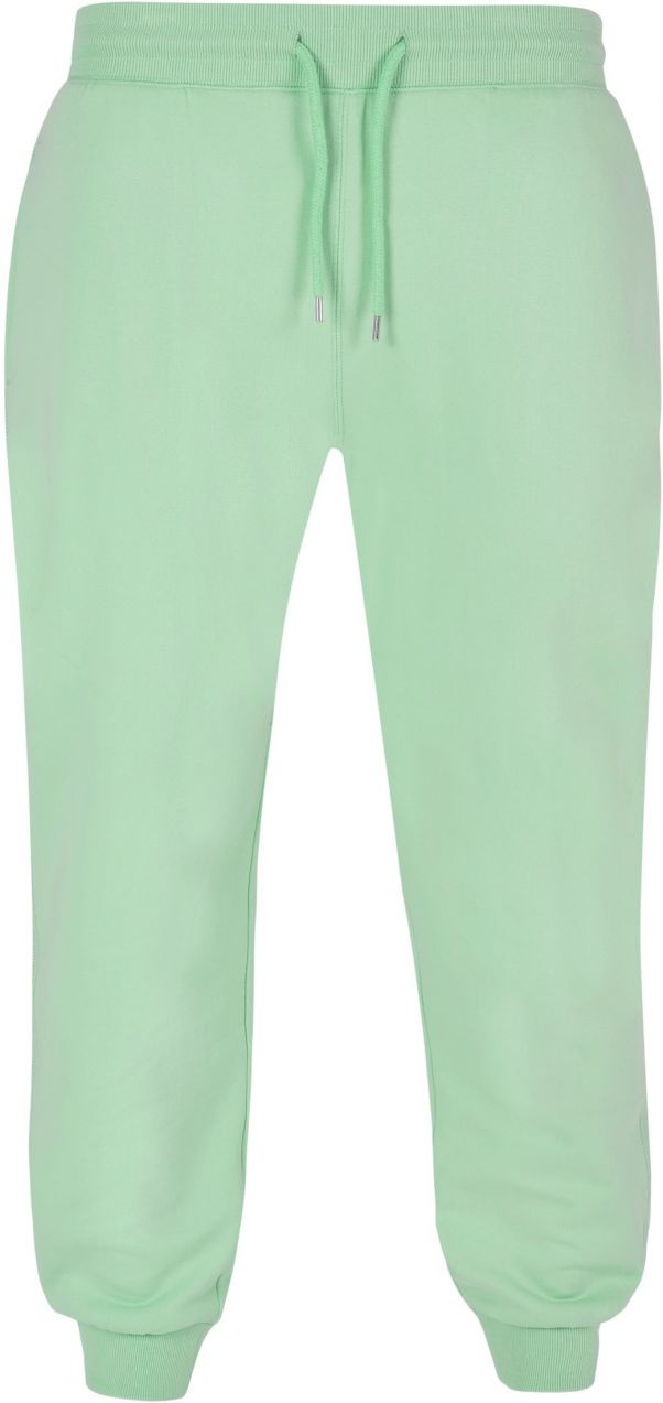 Basic sweatpants neo mint