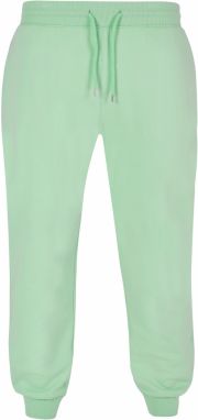 Basic sweatpants neo mint