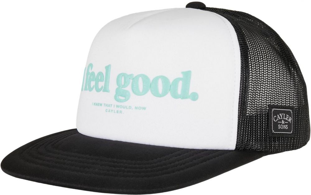 C&S Feelin Good Foam Trucker hat black/mc
