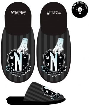 HOUSE SLIPPERS OPEN WEDNESDAY