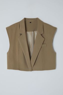 Trendyol Limited Edition Mink Regular Crop Vest