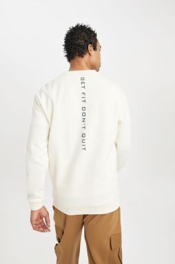 DEFACTO Fit Standard Fit Crew Neck Printed Sweatshirt