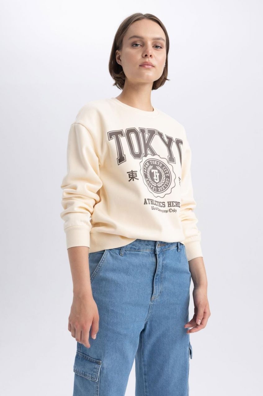DEFACTO Regular Fit Crew Neck Thick Sweatshirt