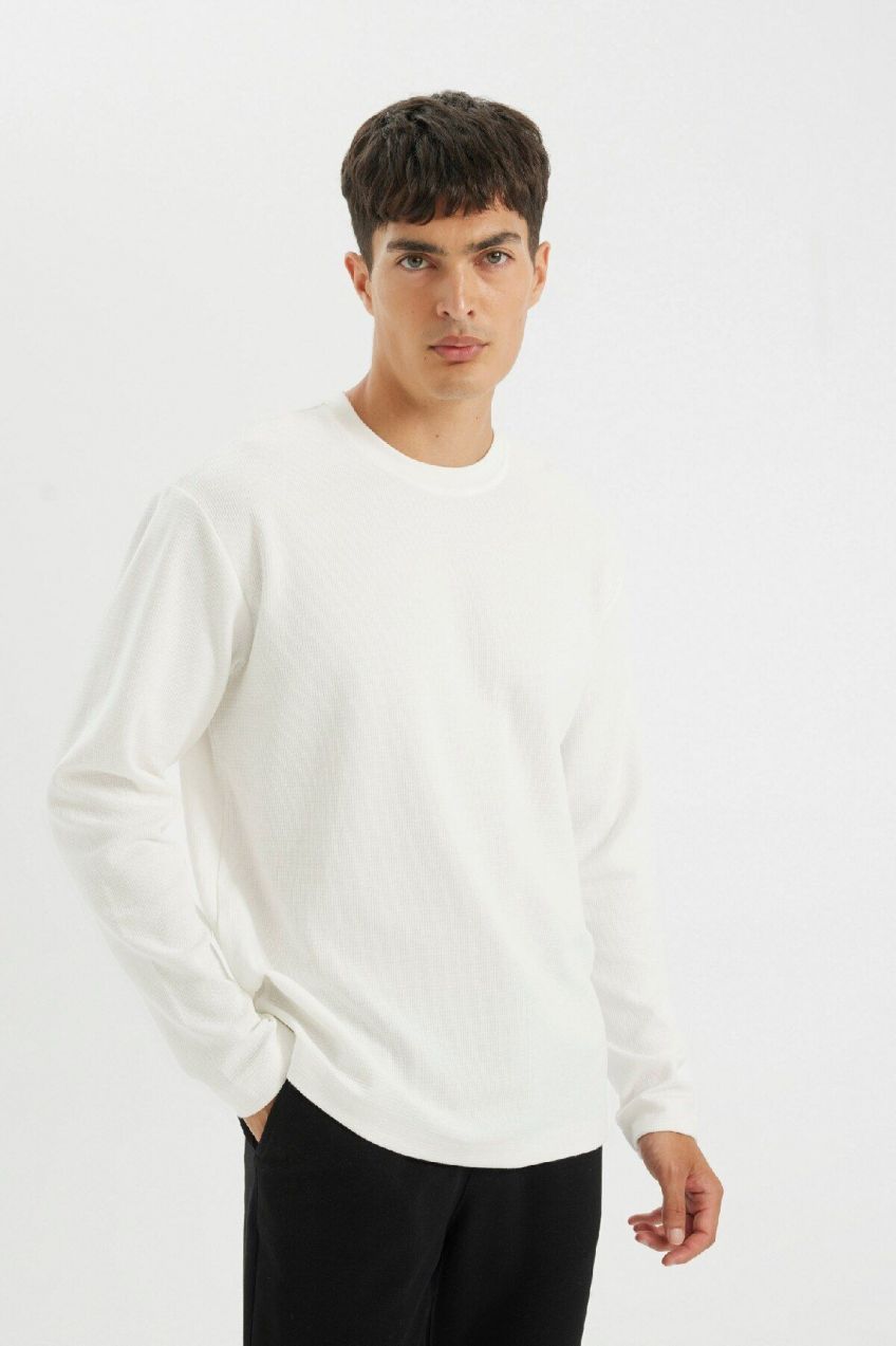 DEFACTO Regular Fit Crew Neck Waffle Long Sleeve T-Shirt