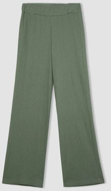 DEFACTO Wide Leg Straight Leg Wrinkled Trousers C0200ax24sp
