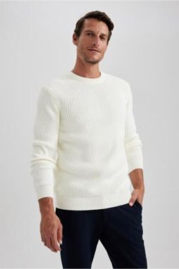 DEFACTO Standard Fit Crew Neck Sweater