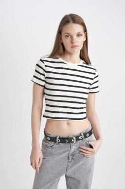 DEFACTO Cool Fitted Striped Short Sleeve T-Shirt