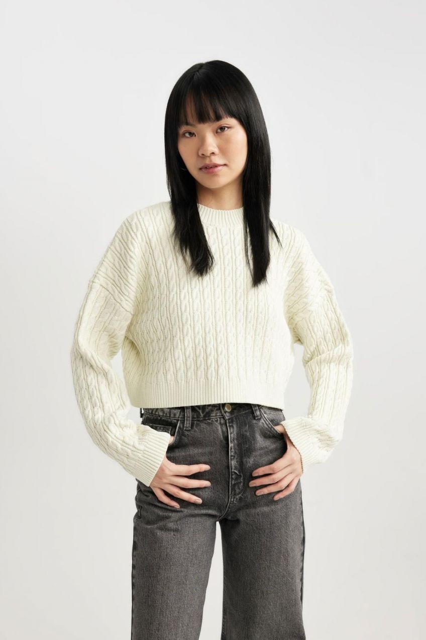 DEFACTO Cool Regular Fit Crew Neck Sweater