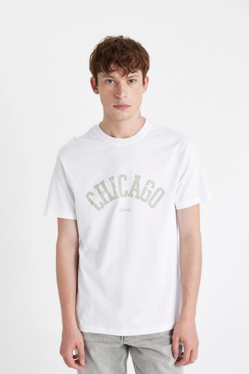 DEFACTO Regular Fit Crew Neck Printed Short Sleeve T-Shirt