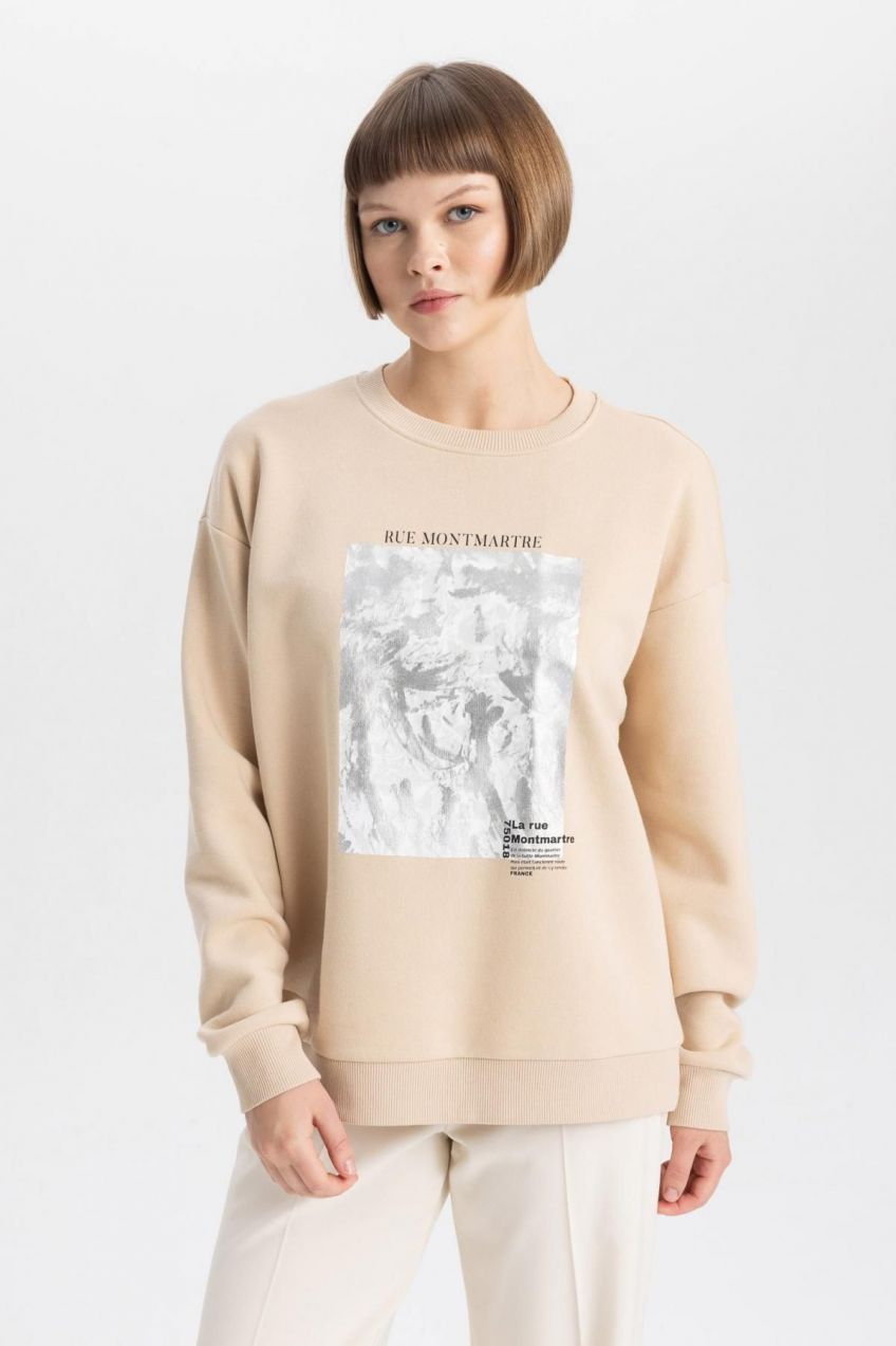DEFACTO Relax Fit Crew Neck Thick Sweatshirt