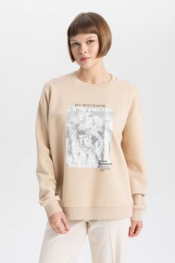 DEFACTO Relax Fit Crew Neck Thick Sweatshirt