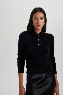 DEFACTO Regular Fit Polo Neck Sweater