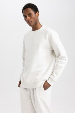 DEFACTO Fit Standard Fit Crew Neck Thick Sweatshirt