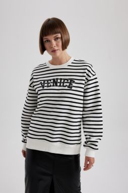 DEFACTO Regular Fit Crew Neck Thick Sweatshirt