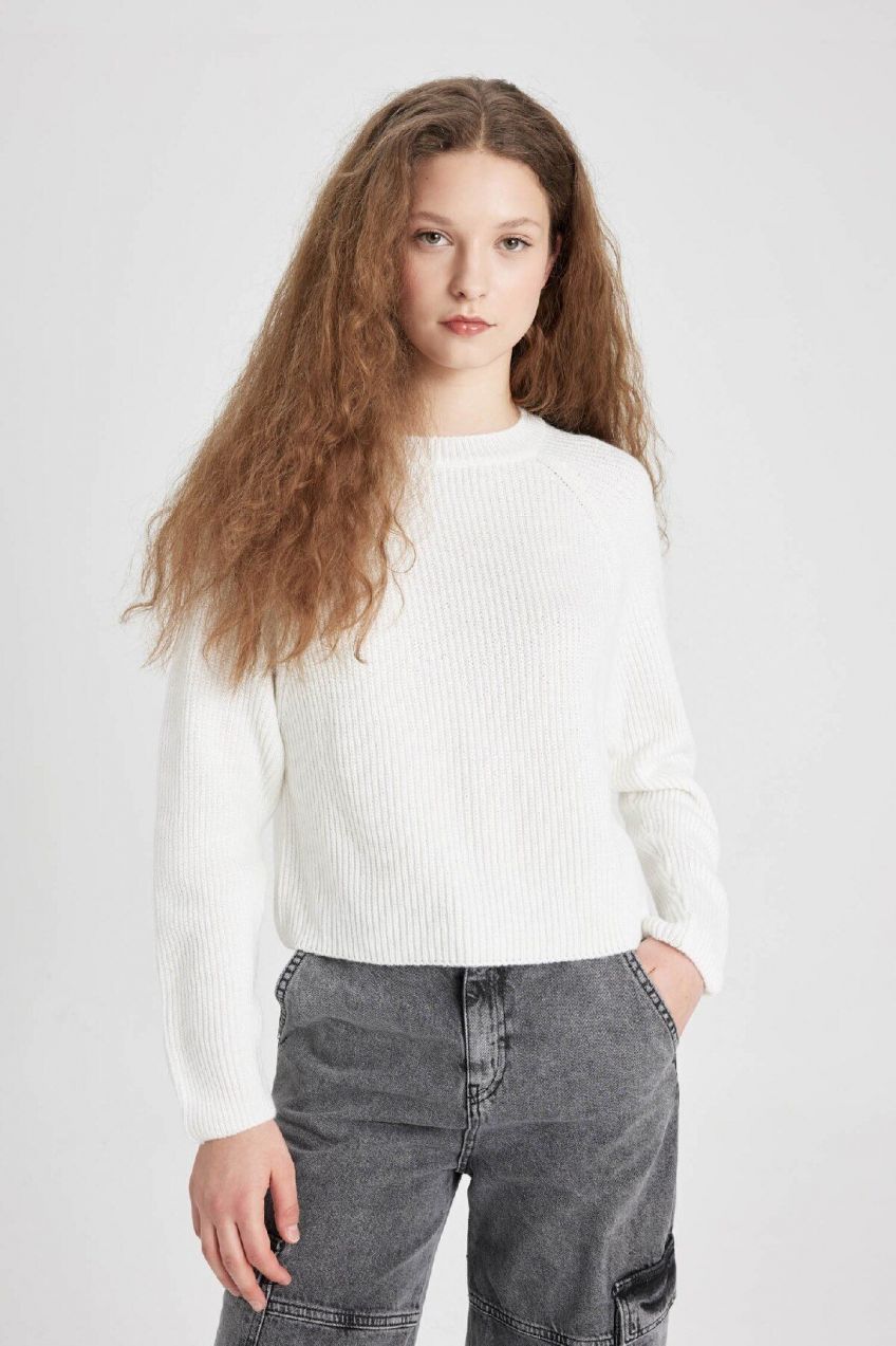 DEFACTO Cool Regular Fit Crew Neck Knitted Sweater