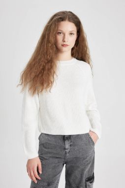 DEFACTO Cool Regular Fit Crew Neck Knitted Sweater
