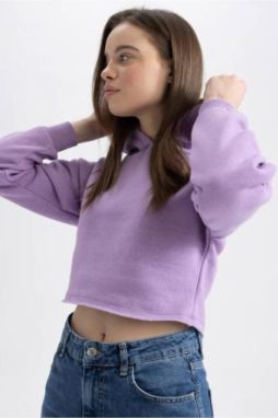 DEFACTO Hooded Basic Crop Sweatshirt