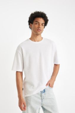 DEFACTO Comfort Fit Crew Neck Heavy Fabric Short Sleeve T-Shirt