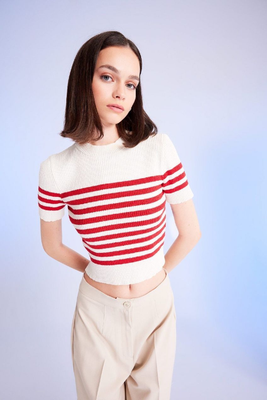 DEFACTO Slim Fit Striped Crew Neck Knit T-Shirt